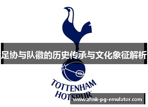 足协与队徽的历史传承与文化象征解析
