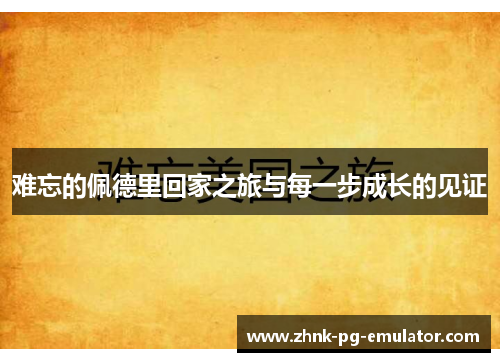 难忘的佩德里回家之旅与每一步成长的见证 难忘的佩德里回家之旅与每一步成长的见证